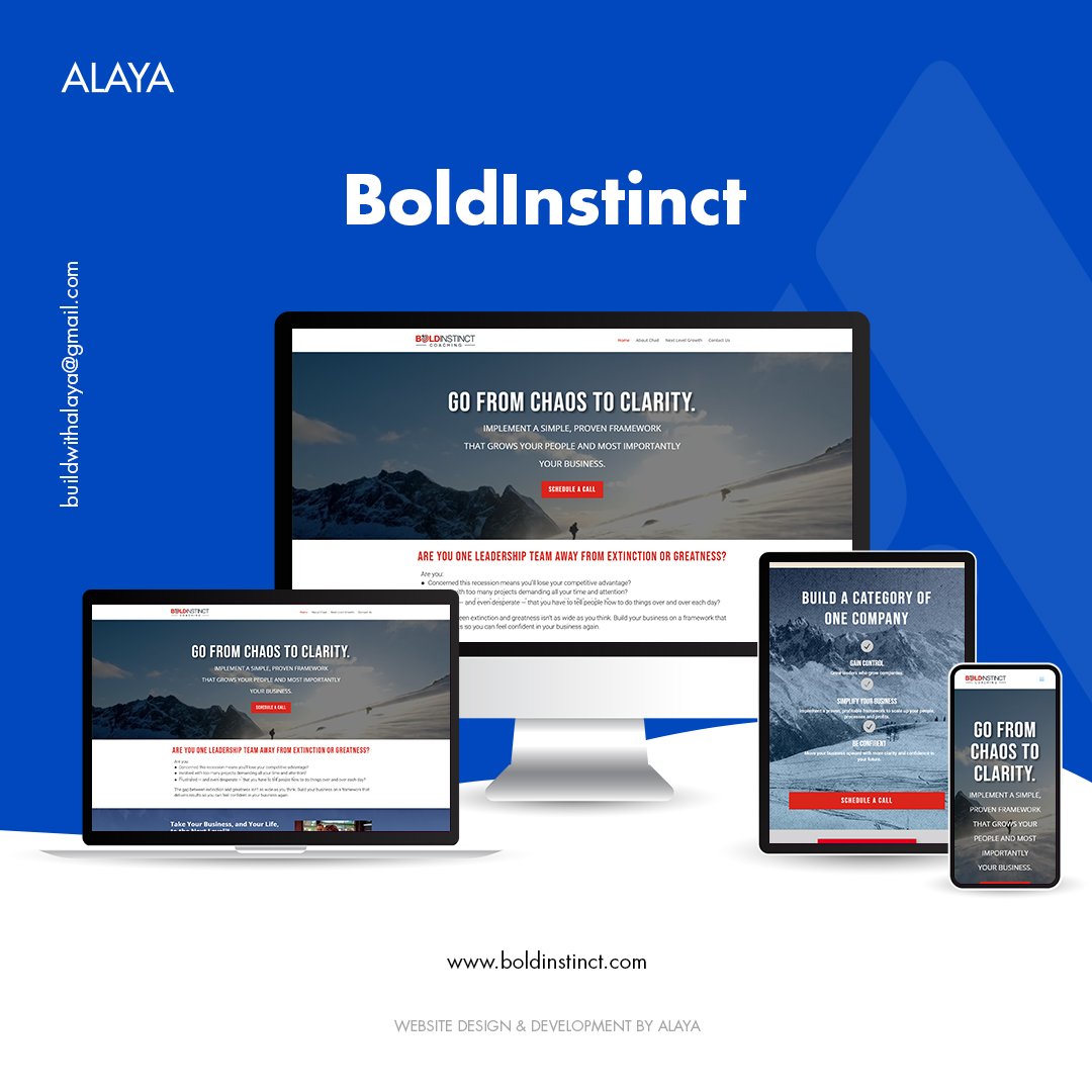 BoldInstinct Device Mockup